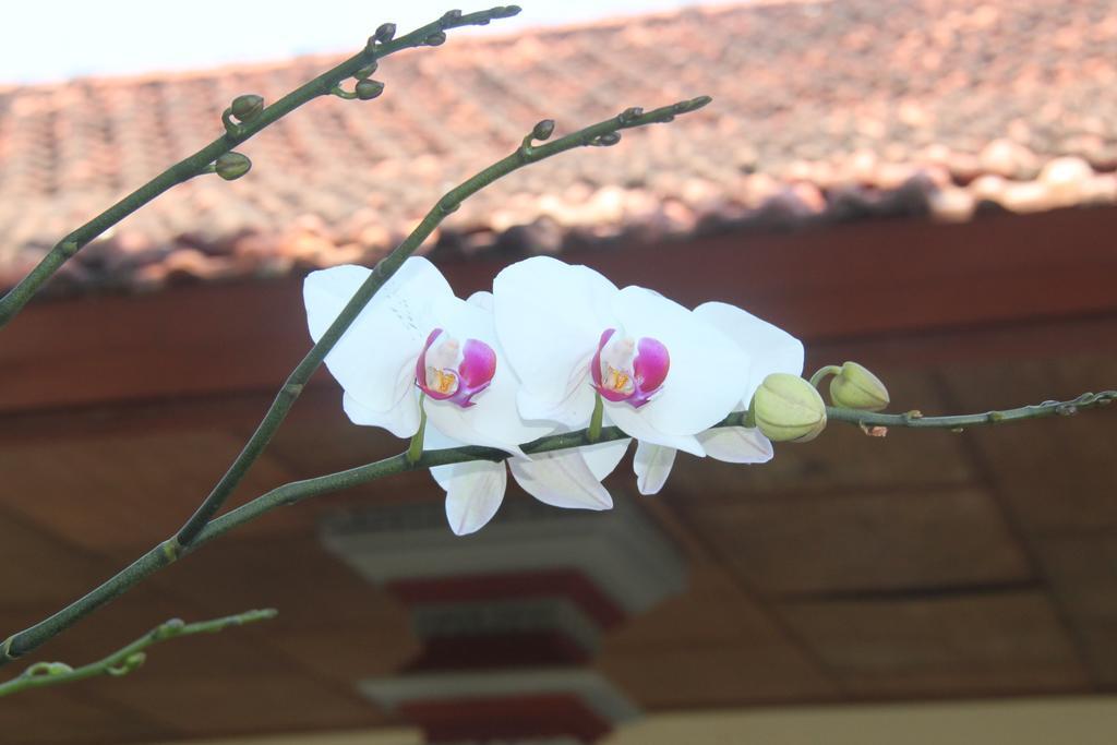 Pondok Hasan Hotel Nusa Dua  Exterior foto